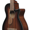 Ibanez AEGB24E-MHS Akustisk bas med mik