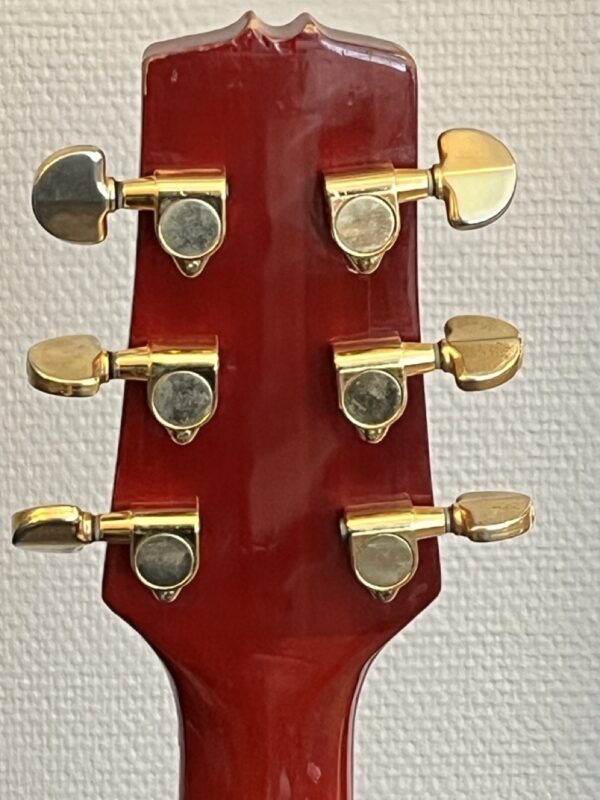 Morgan Guitar W300CERB akustisk gitarr (BEG) - Bild 4