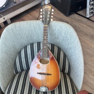 SÅLT: Levin Mandolin (spricka i huvudet)